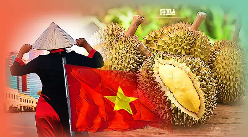 "เวียดนาม" ลุยสร้างแบรนด์ทุเรียนครั้งใหญ่ เล็งแบ่งเค้ก “ไทย-มาเลย์” ในจีน