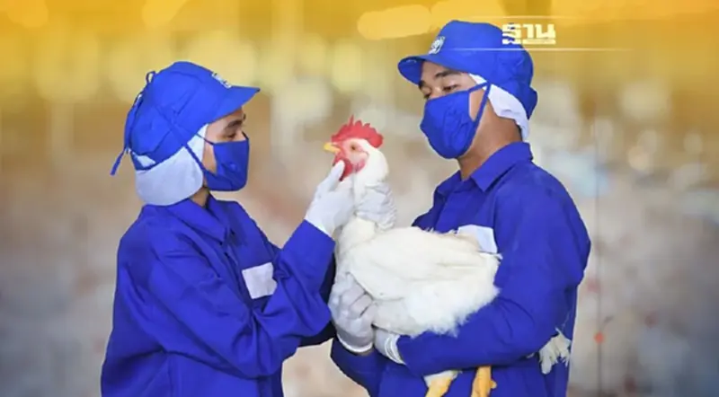 CPF ได้รับรอง LR Farm F1rst ตอกย้ำการผลิตไก่เนื้อคำนึงถึงหลักสวัสดิภาพสัตว์ CPF ได้รับรอง LR Farm F1rst ตอกย้ำการผลิตไก่เนื้อคำนึงถึงหลักสวัสดิภาพสัตว์