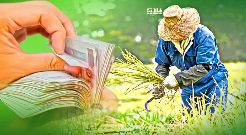 ชาวนาเฮ ครม.อนุมัติ 1.7 พันล้าน จ่ายชดเชยปลูกข้าวอินทรีย์ 15 ล้านไร่