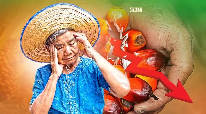 ราคาปาล์มวันนี้(21ก.ย.)ลดลงกี่บาทต่อกก.