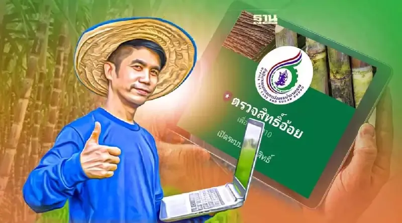 เช็คเงินอ้อย ตรวจสอบสิทธิ์  “ช่วยเหลือชาวไร่อ้อย" ผ่าน Line Official ดูที่นี่