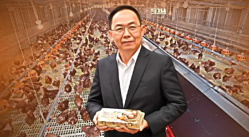 ซีพีเอฟตั้งเป้าเพิ่มผลิตไข่ไก่ Cage Free ปีละ 30%