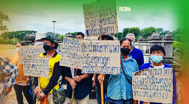 ชาวไร่เพชรบูรณ์ ร้องระงมพ่อค้ากดราคาข้าวโพด