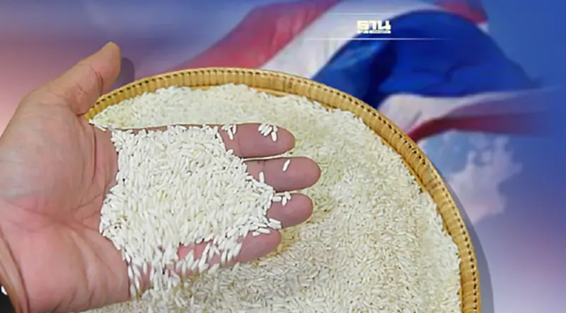 พาณิชย์ จัดประกวดข้าวหอมมะลิ เฟ้นหา หอมมะลิไทยแท้ พาณิชย์ จัดประกวดข้าวหอมมะลิ เฟ้นหา หอมมะลิไทยแท้