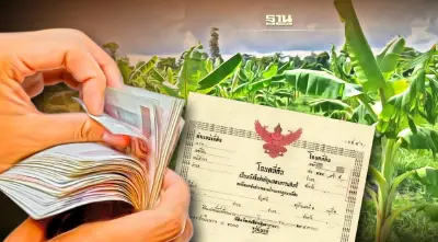 กระทรวงการคลัง เปิดช่องกทม.เช็คบิลบิ๊กทุนปลูกกล้วยเลี่ยงภาษีที่ดิน