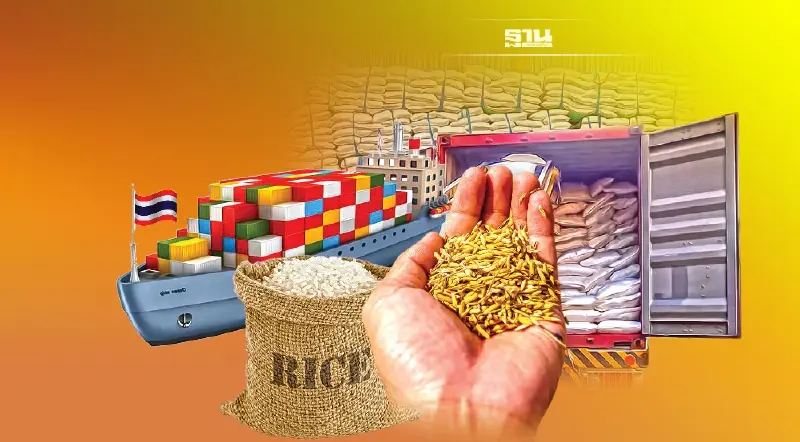 ตั้ง “ไรซ์บอร์ด”ปฏิรูปข้าวไทย  ผู้ส่งออกชี้ 40 ปียังยํ่าอยู่กับที่