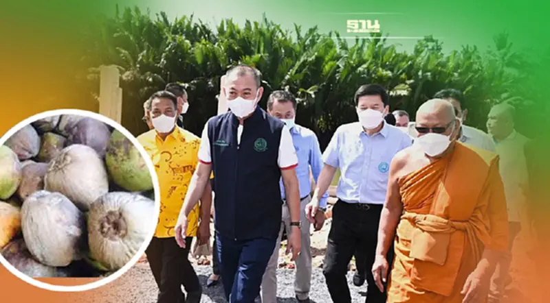 “เฉลิมชัย”สั่งเร่งพัฒนาคลองร้อยสาย จ.สุราษฎร์ รับปากเร่งแก้มะพร้าวราคาตก “เฉลิมชัย”สั่งเร่งพัฒนาคลองร้อยสาย จ.สุราษฎร์ รับปากเร่งแก้มะพร้าวราคาตก