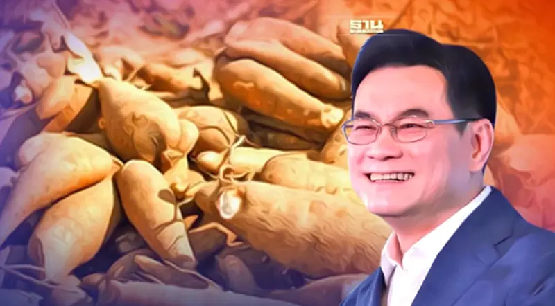ทุบสถิติใหม่ “ประกันรายได้มันสำปะหลัง” ไม่ต้องจ่ายเงินชดเชย 11 งวดติด ทุบสถิติใหม่ “ประกันรายได้มันสำปะหลัง” ไม่ต้องจ่ายเงินชดเชย 11 งวดติด