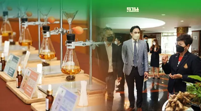 ม.แม่ฟ้าหลวง จับมือเอกชน เพิ่มมูลค่า “กัญชง” รุกอุตสาหกรรมสปา-เวลเนส