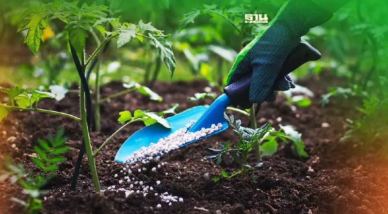 ข่าวดี 3 สมาคมปุ๋ยเคมี ปรับราคาหลังต้นทุนนำเข้าลด