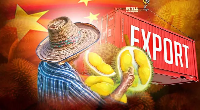 อัพเดทอนาคตทุเรียนไทยในจีน ลุ้นระทึก เสี่ยงเสียตลาด