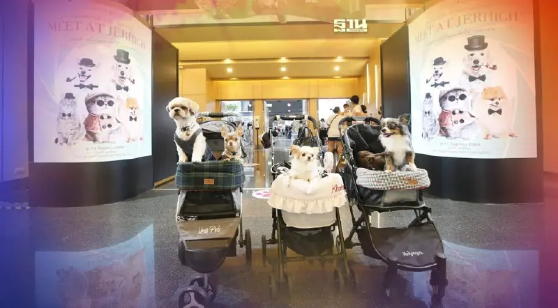 เริ่มแล้ว Pet Expo 2022 คาดเงินสะพัดกว่า 100 ล้านบาท