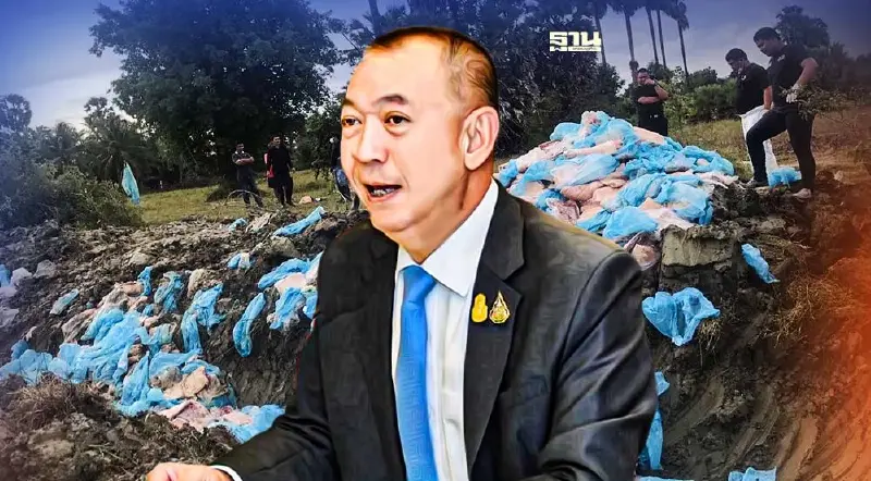 สั่งปศุสัตว์ทำลายซากสุกรลักลอบนำเข้า กว่า 12 ตัน ที่จังหวัดสงขลา สั่งปศุสัตว์ทำลายซากสุกรลักลอบนำเข้า กว่า 12 ตัน ที่จังหวัดสงขลา