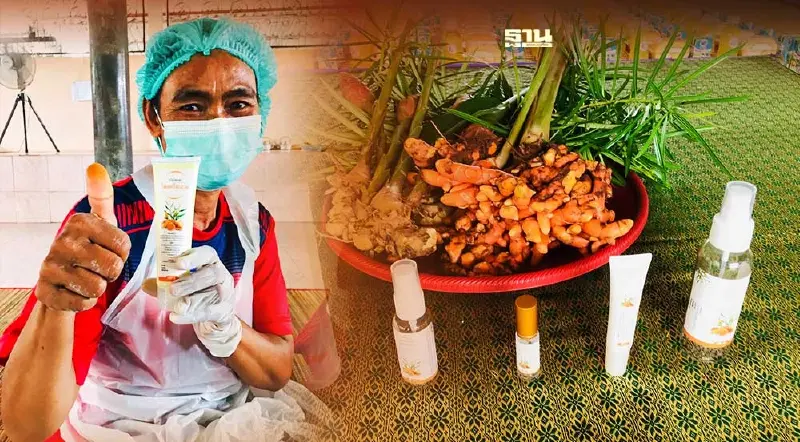 สมุนไพรจากแผ่นดิน"ไพลศรีสะอาด"ของดีเมืองขุขันธ์