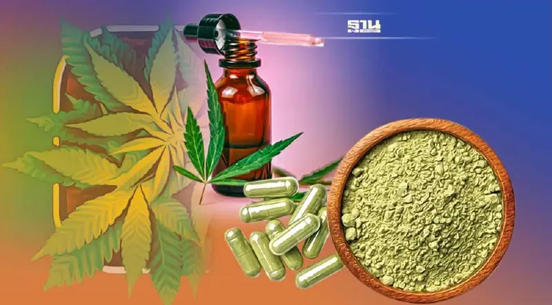 จี้รัฐคุมเข้ม ‘กัญชา-กัญชง’ คุณภาพตํ่า ลักลอบนำเข้า ทะลัก