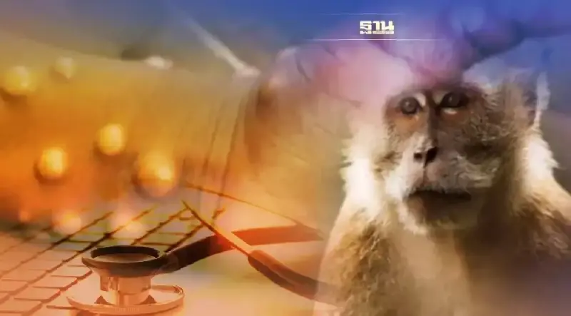 ผงะ! ฉีดวัคซีนฝีดาษ 2 เข็มยังไม่พอ ต้องกระตุ้นด้วยเข็ม 3 เพราะอะไร อ่านเลย