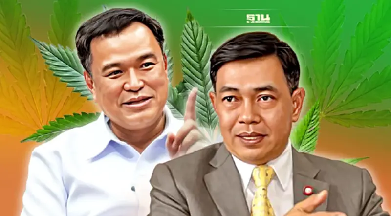เรื่อง "กัญชาเสรี" ไม่กลัวดัง แต่กลัวดับ เรื่อง "กัญชาเสรี" ไม่กลัวดัง แต่กลัวดับ