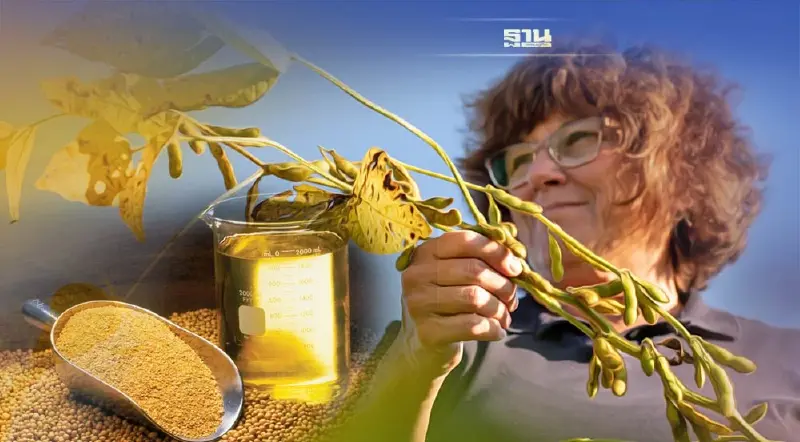 ข่าวดี "ไทย" โอนสิทธิ์ใบรับรองSSAP ที่ซื้อถั่วเหลืองอเมริกาได้แล้ว