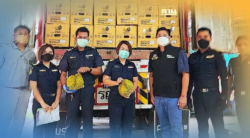 ลงพื้นที่ภาคใต้  คุมเข้มมาตรฐานทุเรียน ลำไยส่งออกจีน