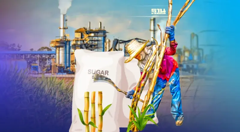 ผวาบราซิลทวงคำตอบ ไทยแก้อุดหนุนน้ำตาล เอกชนทำการบ้าน ยกทัพพร้อมแจง พ.ย.นี้