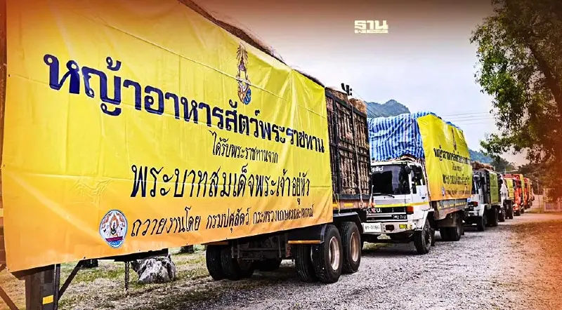 สั่งระดมช่วยเหลือปศุสัตว์ในพื้นที่น้ำท่วมภาคใต้ หลังฝนตกหนัก 1-2 วันนี้