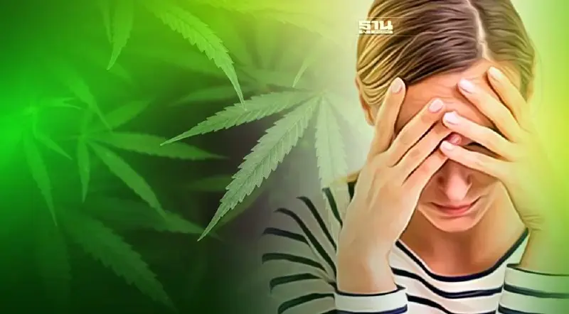 "กัญชา" เพื่มความเสี่ยงเป็นโรคหลอดเลือดสมอง อันตรายแค่ไหน อ่านเลย