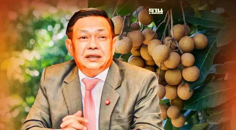 อัพเดท “เงินเยียวยาชาวสวนลำไย”  ไร่ละ 2,000 บาท รอเข้า ครม.