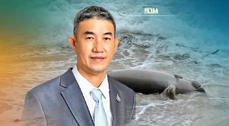 "วราวุธ" สั่ง ทช. เร่งหาสาเหตุการตายของพะยูนเกยตื้น หาดนางรอง "วราวุธ" สั่ง ทช. เร่งหาสาเหตุการตายของพะยูนเกยตื้น หาดนางรอง