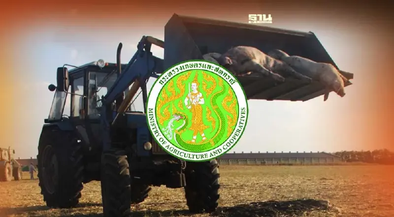 อัพเดท "โรคอหิวาต์แอฟริกาสุกร” ในรัสเซีย เสียหายมากที่สุดในประวัติศาสตร์