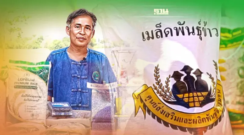 เปิดตัว “ศูนย์ข้าวชุมชนชอนสมบูรณ์” แหล่งผลิตเมล็ดพันธุ์ข้าวอินทรีย์ เปิดตัว “ศูนย์ข้าวชุมชนชอนสมบูรณ์” แหล่งผลิตเมล็ดพันธุ์ข้าวอินทรีย์