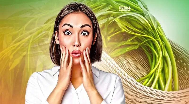 ผักบุ้ง”ราคาพุ่งมากวันนี้ โลละกี่บาทเช็กเลย