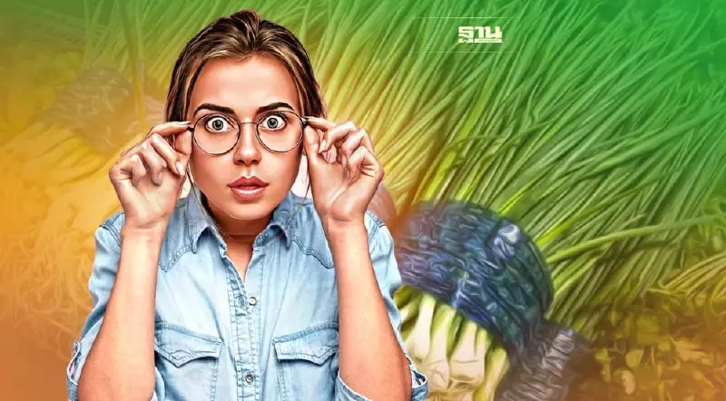 ราคาผักสด “ต้นหอม”แพงมาก ทะลุ220บาทต่อกก.