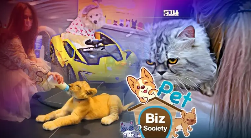 เริ่มแล้ว! “เพ็ท วาไรตี้” มหกรรมสัตว์เลี้ยงสุดยิ่งใหญ่ คนรักสัตว์ห้ามพลาด