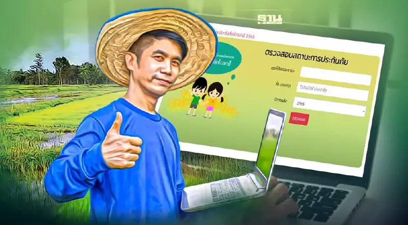 ตรวจสอบสถานะโครงการประกันภัยข้าวนาปี 2565 ธ.ก.ส. ง่ายเพียง 3 ขั้นตอน