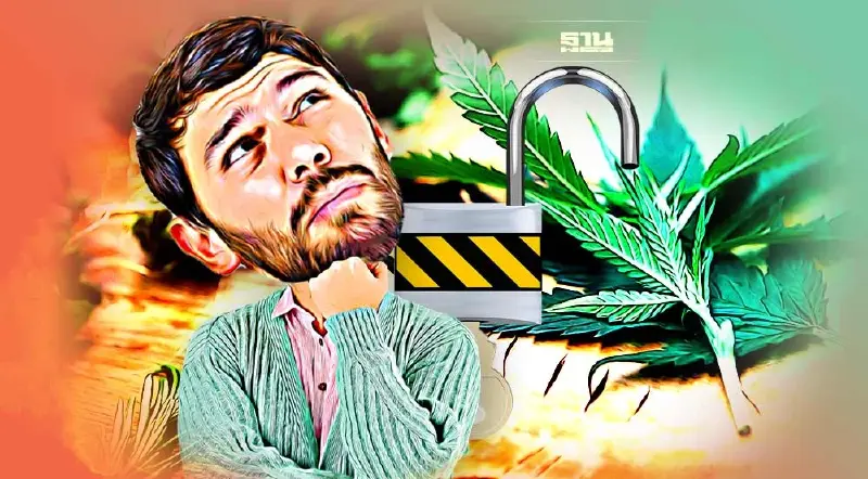 เปิดข้อมูล 6 เดือนหลัง "ปลดล็อกกัญชา"จากยาเสพติด ยังน่าห่วง