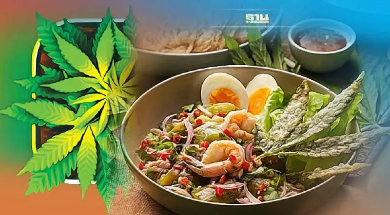 มีผลใช้แล้ว !เปิดรายละเอียด สธ.ปรับปรุงประกาศคุมปริมาณกัญชา-กัญชงในอาหาร