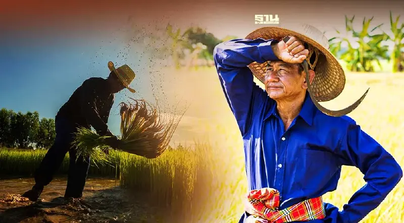 ประกันรายได้ข้าว65/66 จ่ายไม่ทัน 19 ต.ค.