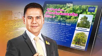 รู้หรือยัง ต้นไม้ชนิดไหน ขายคาร์บอนเครดิต 120 บาท/ตัน ได้บ้าง ?