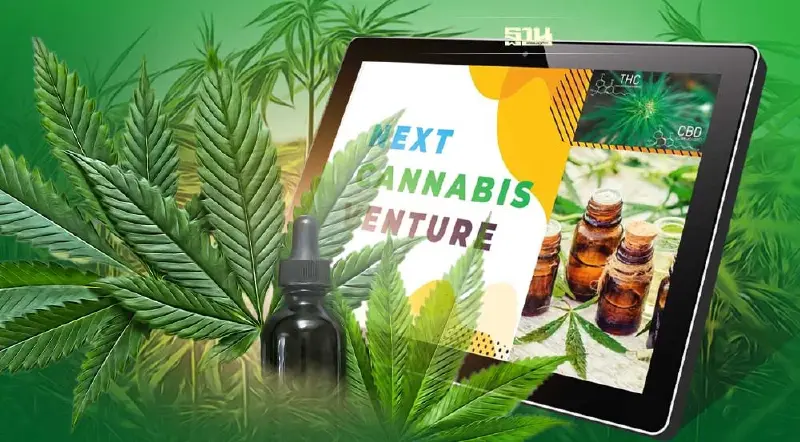 เปิดนวัตกรรมยาใหม่ “กัญชาทางการแพทย์"