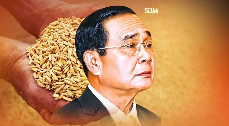 ลุ้น  4 พ.ย. นายกรัฐมนตรีขยายเพดานหนี้ จ่ายประกันรายได้ข้าว 1.5 แสนล้าน (คลิป)