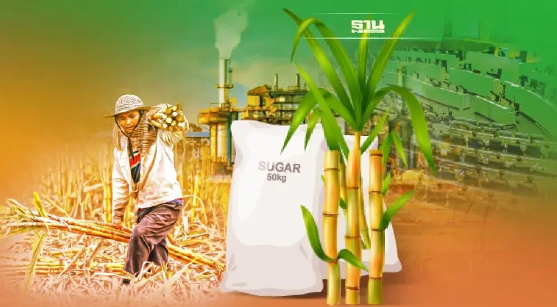 ปลดแอก นํ้าตาล รง.ลุยสู่เสรีเปิดหีบ-ตั้งราคาอ้อยเอง  ยื่นศาลปกครองคุ้มครอง