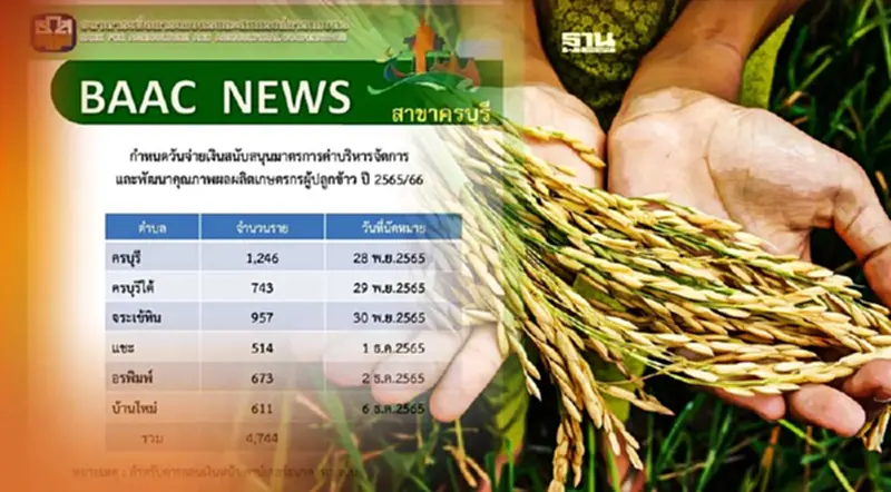 เช็คเงิน ธ.ก.ส.ล่าสุด ประกันรายได้ข้าวปี 2565/66 สาขากำแพงเพชร ดูแผนโอนเงิน เช็คเงิน ธ.ก.ส.ล่าสุด ประกันรายได้ข้าวปี 2565/66 สาขากำแพงเพชร ดูแผนโอนเงิน
