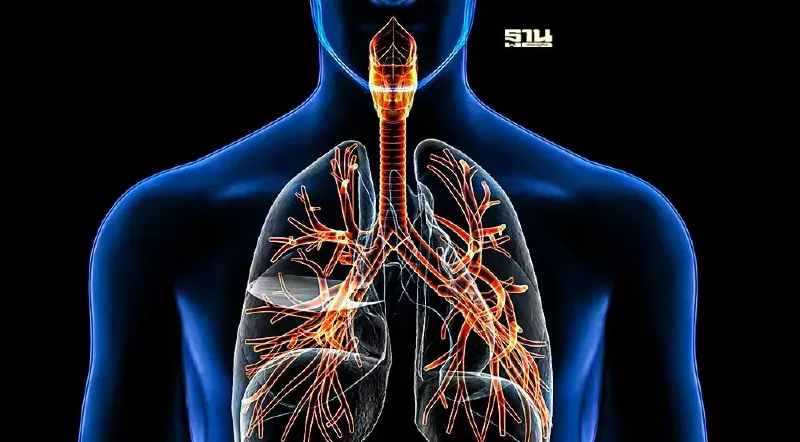วช. เปิดนวัตกรรมส่งเสริมการเรียนรู้ระบบทางเดินหายใจ