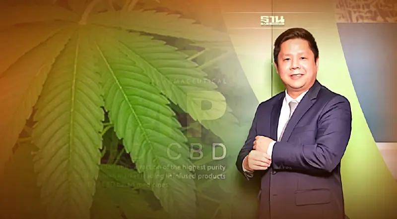 วัดขุมกำลัง "กัญชงไทย" พร้อมสู้ “ตลาดกัญชงกลุ่มประเทศชั้นนำ” แค่ไหน