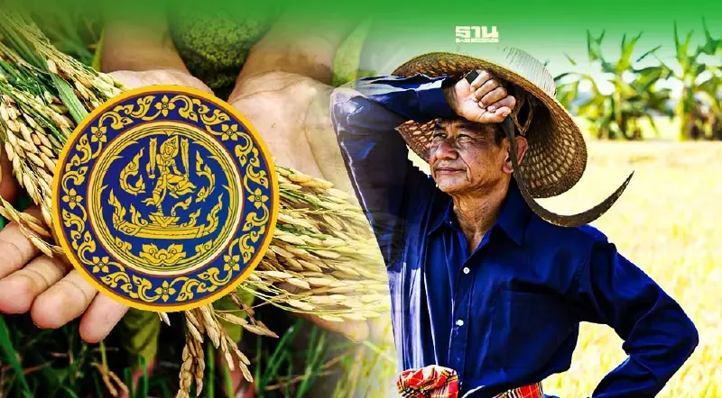 "ประกันรายได้ข้าว" พาณิชย์ เปิดเงื่อนไขชาวนารับสิทธิ