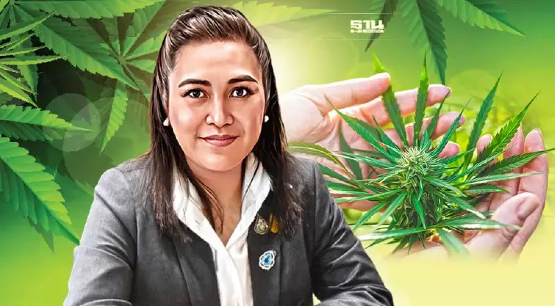 “พิมพ์รพี”ชี้ประกาศ สธ.ใหม่ คุมเฉพาะช่อดอกกัญชา ยิ่งเปิดช่องเสรีส่วนอื่น