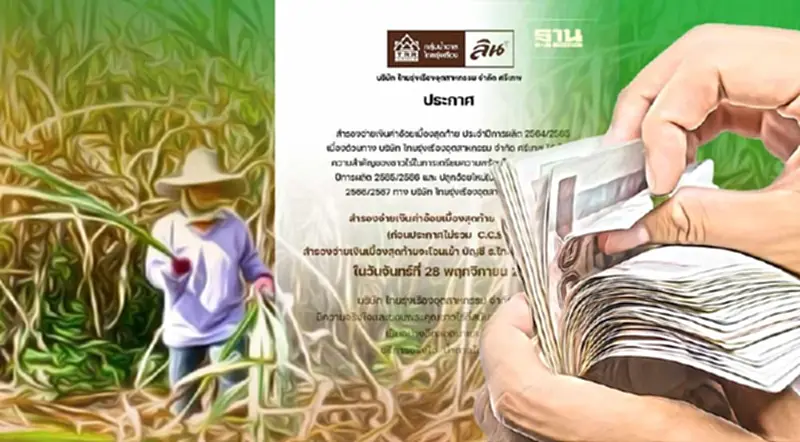 ข่าวดี “เงินช่วยเหลือชาวไร่อ้อย” ไทยรุ่งเรือง แจ้งโอน วันที่ 28 พ.ย. ข่าวดี “เงินช่วยเหลือชาวไร่อ้อย” ไทยรุ่งเรือง แจ้งโอน วันที่ 28 พ.ย.
