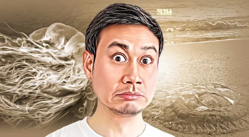 เตือนเล่นน้ำทะเลหลังฝนตก ระวัง"แมงกะพรุนพิษ"