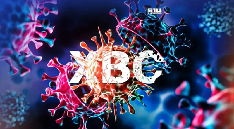 เดลตาครอน XBC : โจมตีปอดเท่าเดลตา แพร่เร็วเท่าโอมิครอน ศูนย์จีโนมฯ เร่งเตือน เดลตาครอน XBC : โจมตีปอดเท่าเดลตา แพร่เร็วเท่าโอมิครอน ศูนย์จีโนมฯ เร่งเตือน