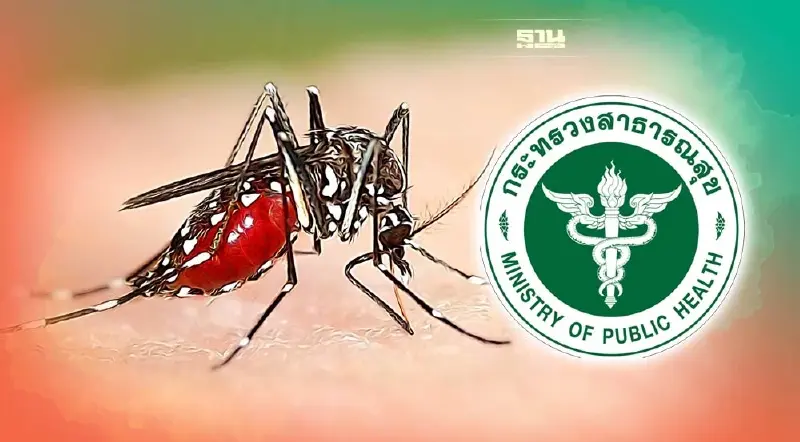โรคไข้เลือดออกกำลังจะกลับมา แนะ วิธีสังเกตอาการด้วยตัวเอง 